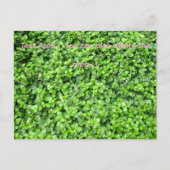 Packed with greenery ポストカード (正面)