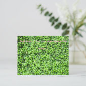 Packed with greenery ポストカード (スタンド正面)