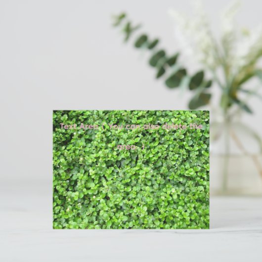 Packed with greenery ポストカード (スタンド正面)