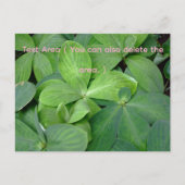 Packed with greenery ポストカード (正面)