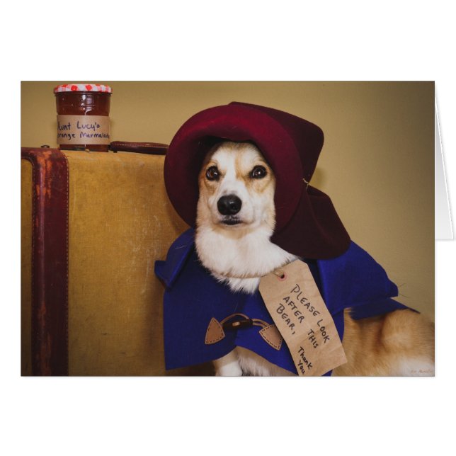 Paddingtonのコーギーの空白のなカード (正面横)