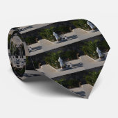 Padre PIO ネクタイ (ロール)