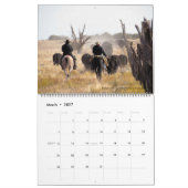 Padres Mesa Ranch Calendar 2015年1月 – Dec v1.0.1 カレンダー (3月 2027)