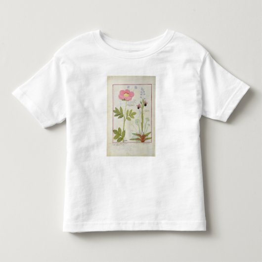 PaeoniaかシャクヤクおよびOrchisのmyanthos トドラーTシャツ (正面)