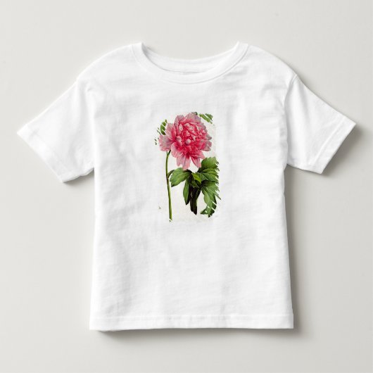 Paeonia Moutan、c.1799 トドラーTシャツ (正面)