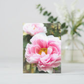 Paeonia“Tamahuyou” ポストカード (スタンド正面)