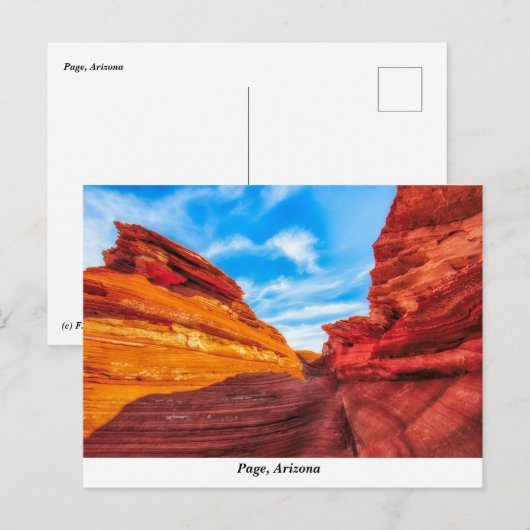 Page Arizonaはがき ポストカード (正面/裏面)