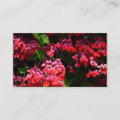 Pagoda Flowers Colorful Red and Pink 名刺 (裏面)