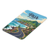 Paia USA マグネット (左側)