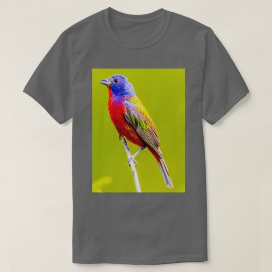 Painted Bunting 1 Tシャツ (デザイン正面)