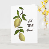 Painted Lemons Get Well Soon カード (黄色い花)