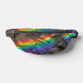 Painted Rock  ファニーパック (レイダウン)