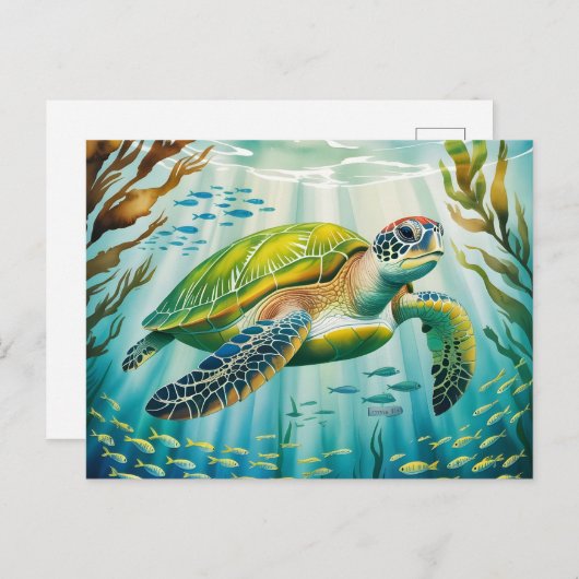 Painted Turtle ポストカード (正面/裏面)