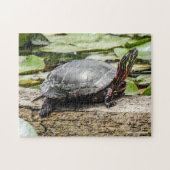 Painted Turtle Jigsaw Puzzle ジグソーパズル (横)