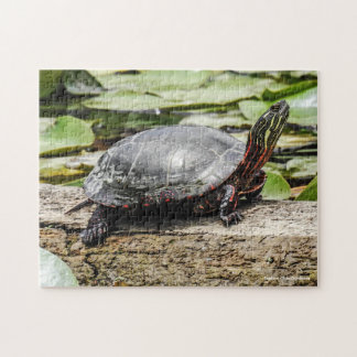Painted Turtle Jigsaw Puzzle ジグソーパズル