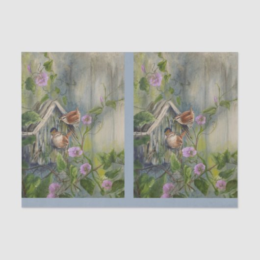 Painted Wrens DBL 薄葉紙 (正面)