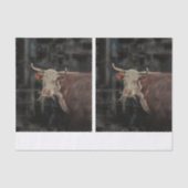 Painting Cow DBL 薄葉紙 (正面)