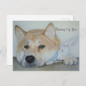 painting of thoughtful dog thinking of you ポストカード (正面/裏面)