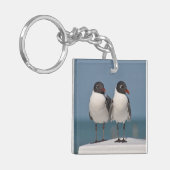 Pair of Black Headed Gulls キーホルダー (正面左)