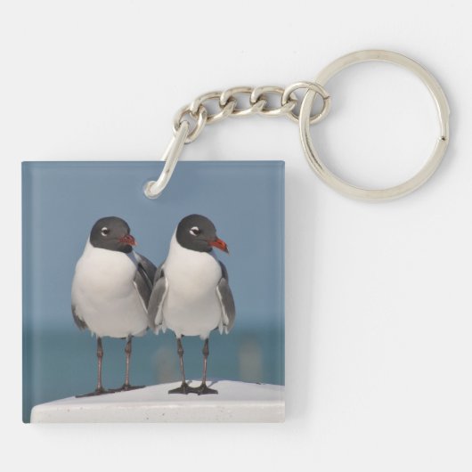 Pair of Black Headed Gulls キーホルダー (裏面)
