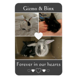 Pair of Bonded Bunnies Photo Memorial マグネット