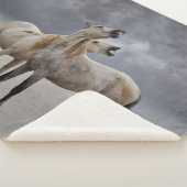 Pair of Camargue Horse Stallions, Southern France シェルパブランケット (3/4)