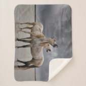 Pair of Camargue Horse Stallions, Southern France シェルパブランケット (正面)