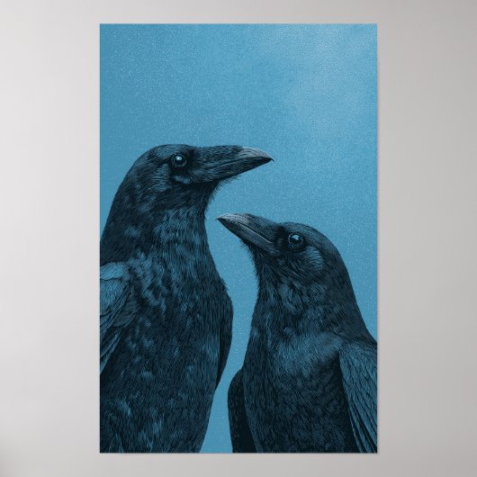 Pair of crows on a blue background ポスター (正面)