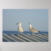 Pair of Seagulls ポスター (正面)