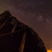 PAKE SAKE -ハワイアンファインアートカレンダー2024 カレンダー