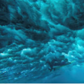 PAKE SAKE -ハワイアンファインアートカレンダー2024 カレンダー