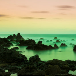 PAKE SAKE -ハワイアンファインアートカレンダー2024 カレンダー