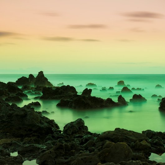 PAKE SAKE -ハワイアンファインアートカレンダー2024 カレンダー