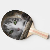 Pala de Ping Pong Gato y Ratón 卓球ラケット (横)