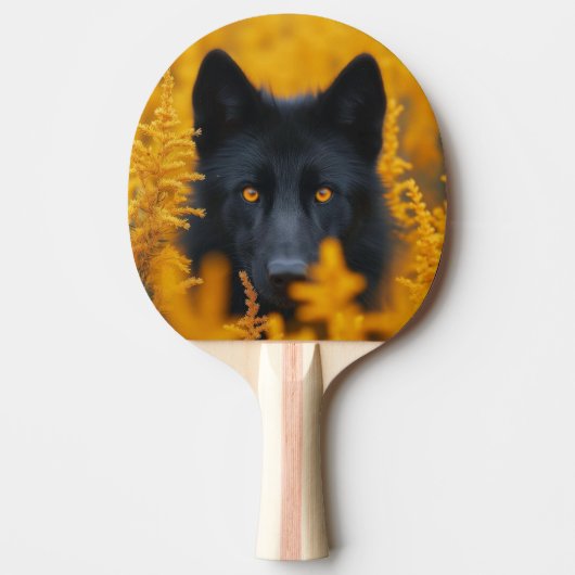 Pala de Ping Pong Lobo Negro Observando 卓球ラケット (正面)