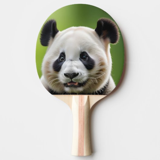 Pala de Ping Pong Oso Panda Tierno 卓球ラケット (正面)