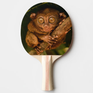 Pala de Ping Pong Tarsero Diminuto Primate 卓球ラケット