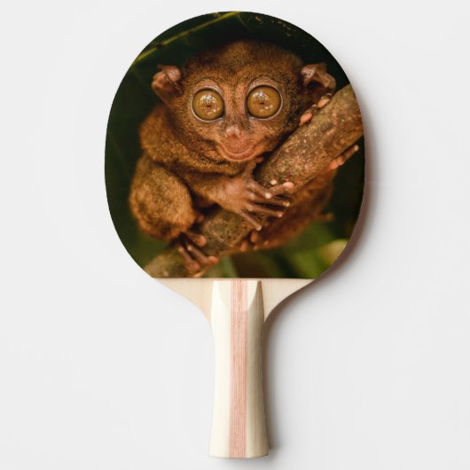 Pala de Ping Pong Tarsero Diminuto Primate 卓球ラケット (正面)