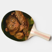 Pala de Ping Pong Tarsero Diminuto Primate 卓球ラケット (横)