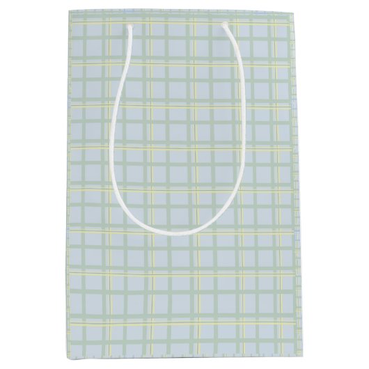 Pale Blue Check Gift Bag | Modern Minimalist  ミディアムペーパーバッグ (正面)