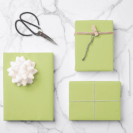 Pale Lime Green Spring And Summer Trending Color ラッピングペーパーシート
