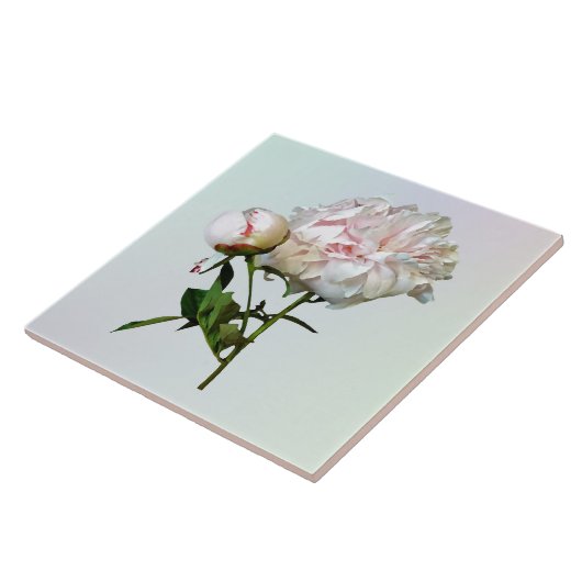 Pale Pink Peony and Bud タイル (側面)