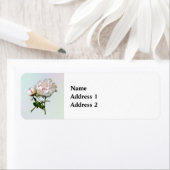 Pale Pink Peony and Bud ラベル (インサイチュ)