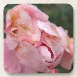 Pale Pink Rose コースター