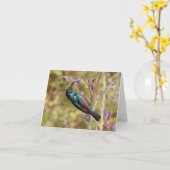 Palestine Sunbird, National Bird Wildlife Poster カード (黄色い花)