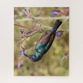 Palestine Sunbird, National Bird Wildlife Poster ジグソーパズル (縦)