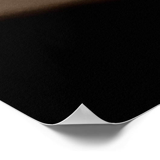 PALITOS pass ポスター (角)