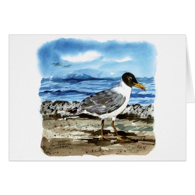 Pallasのカモメ (正面横)