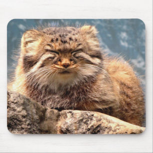 Pallas猫のマウスパッド マウスパッド