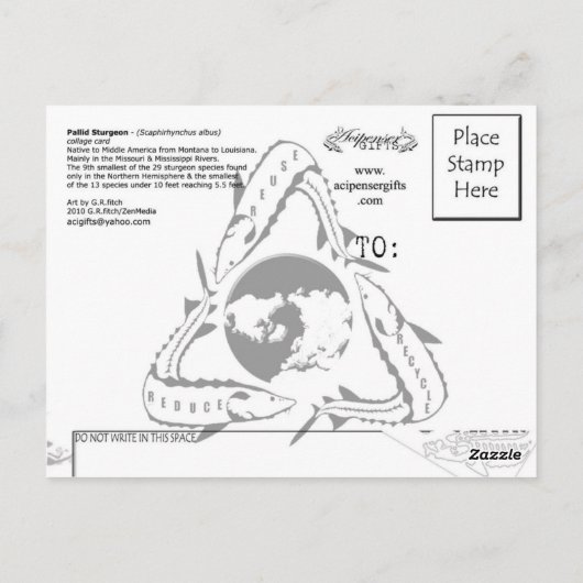 Pallid Sturgeon-Collage – ポストカード (裏面)